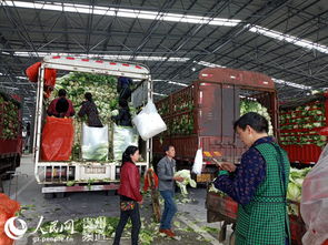 贵州双龙农副产品交易中心蔬菜交易区试运营